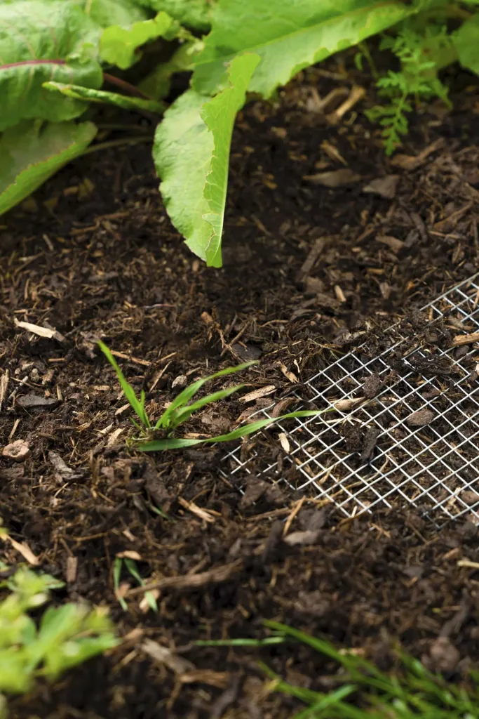 Wire mesh Draneo for raised beds