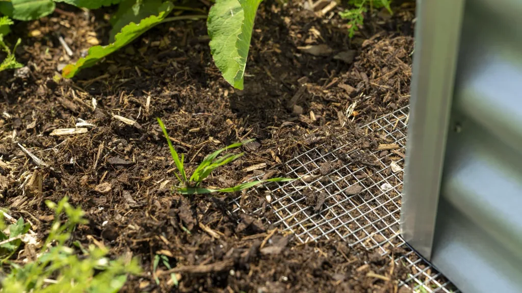 Wire mesh Draneo for raised beds
