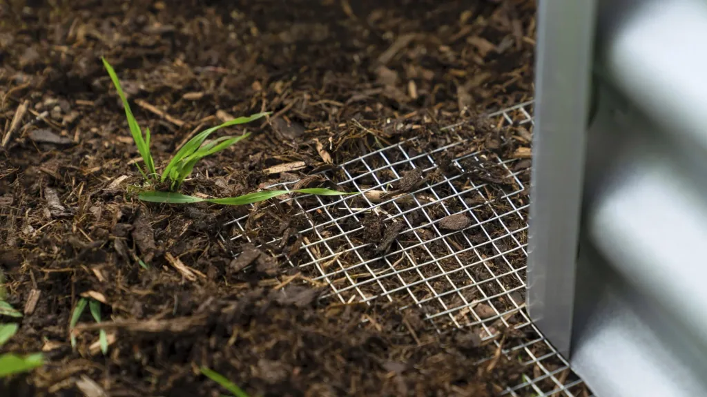 Wire mesh Draneo for raised beds
