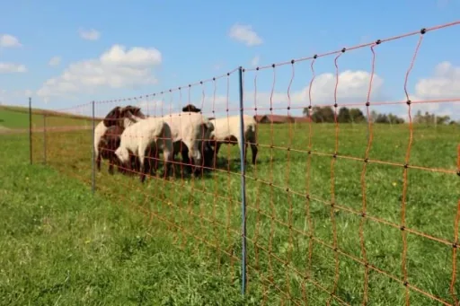 Sheep net OviNet Premium, 50 m, orange, 90 cm, single point