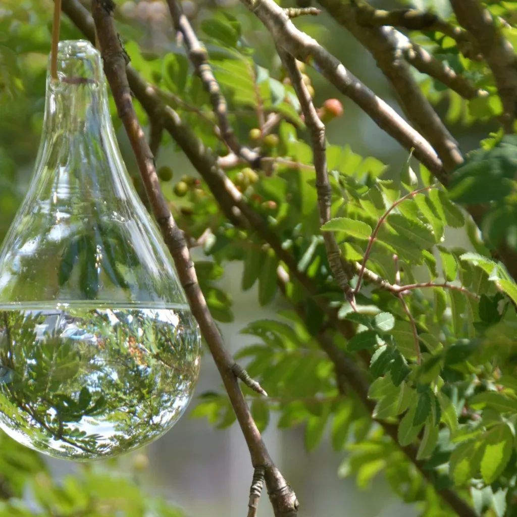 Fly repellent