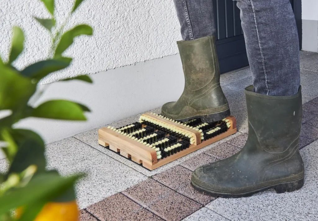 Boot and shoe cleaner