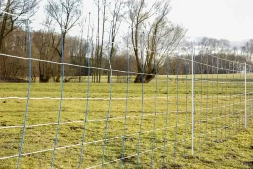 TitanNet 145, blue/white 50 m Height: 145 cm - Double tip