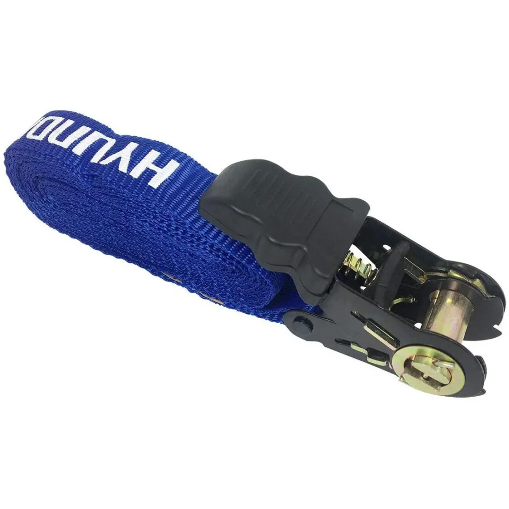 Lashing strap with ratchet 25mmx5m.