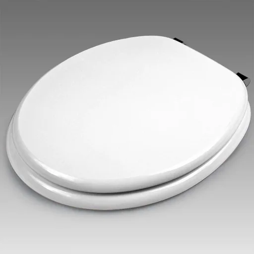 White toilet seat with soft close