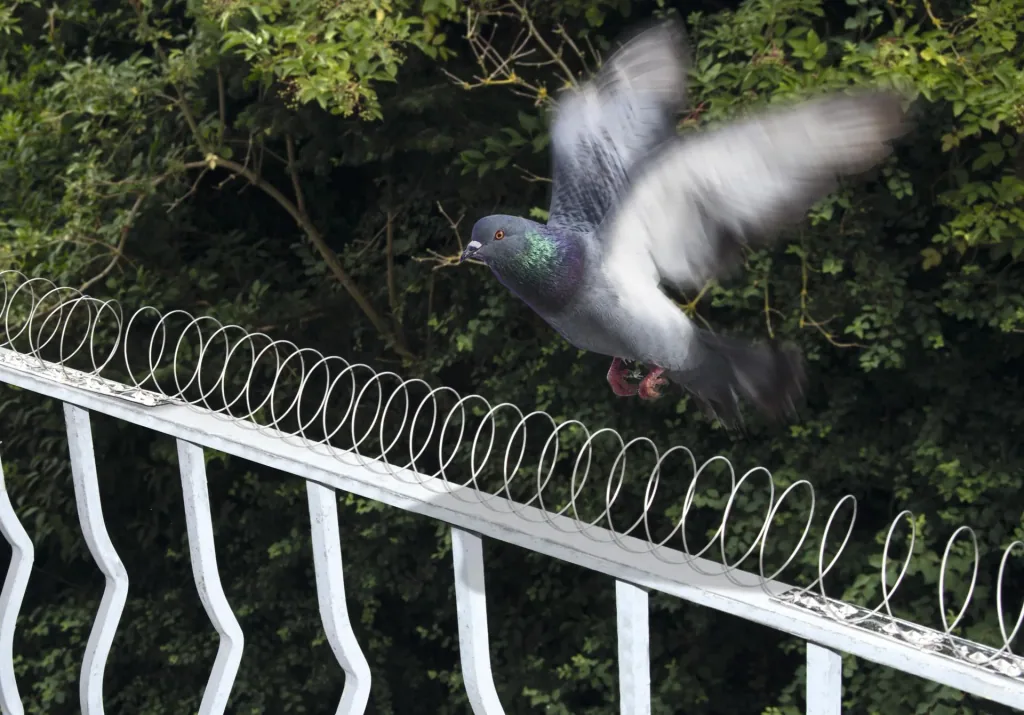 Bird protection spiral 5m