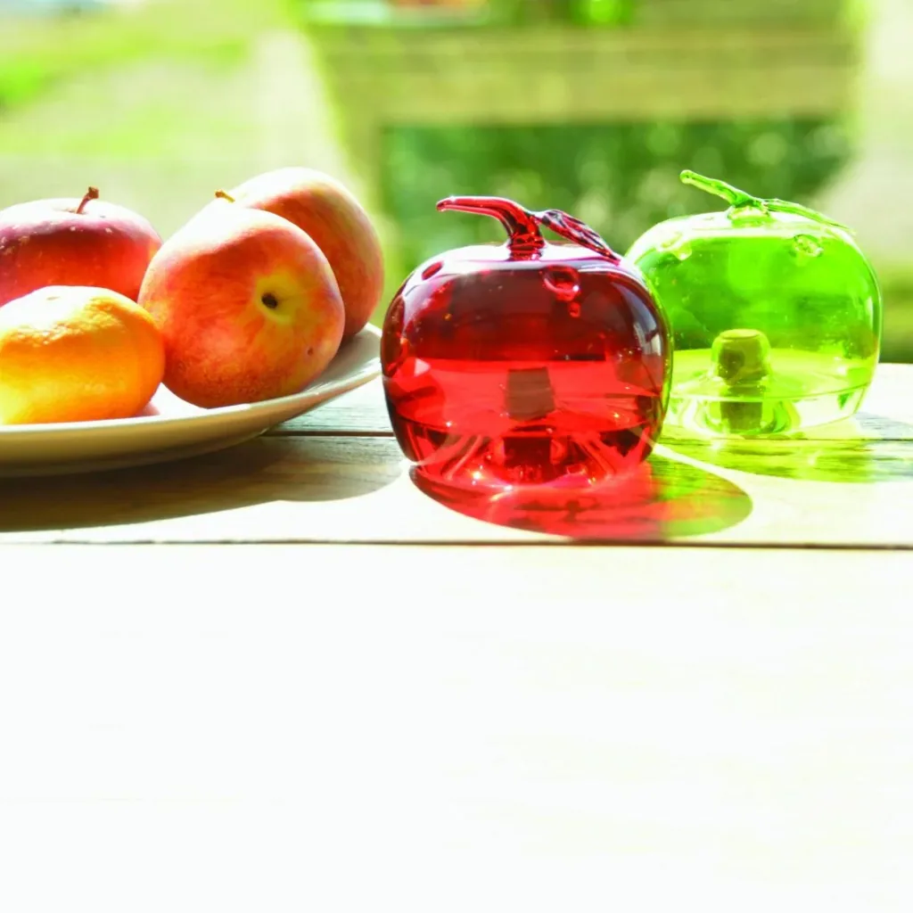 Fruit fly trap apple sorted