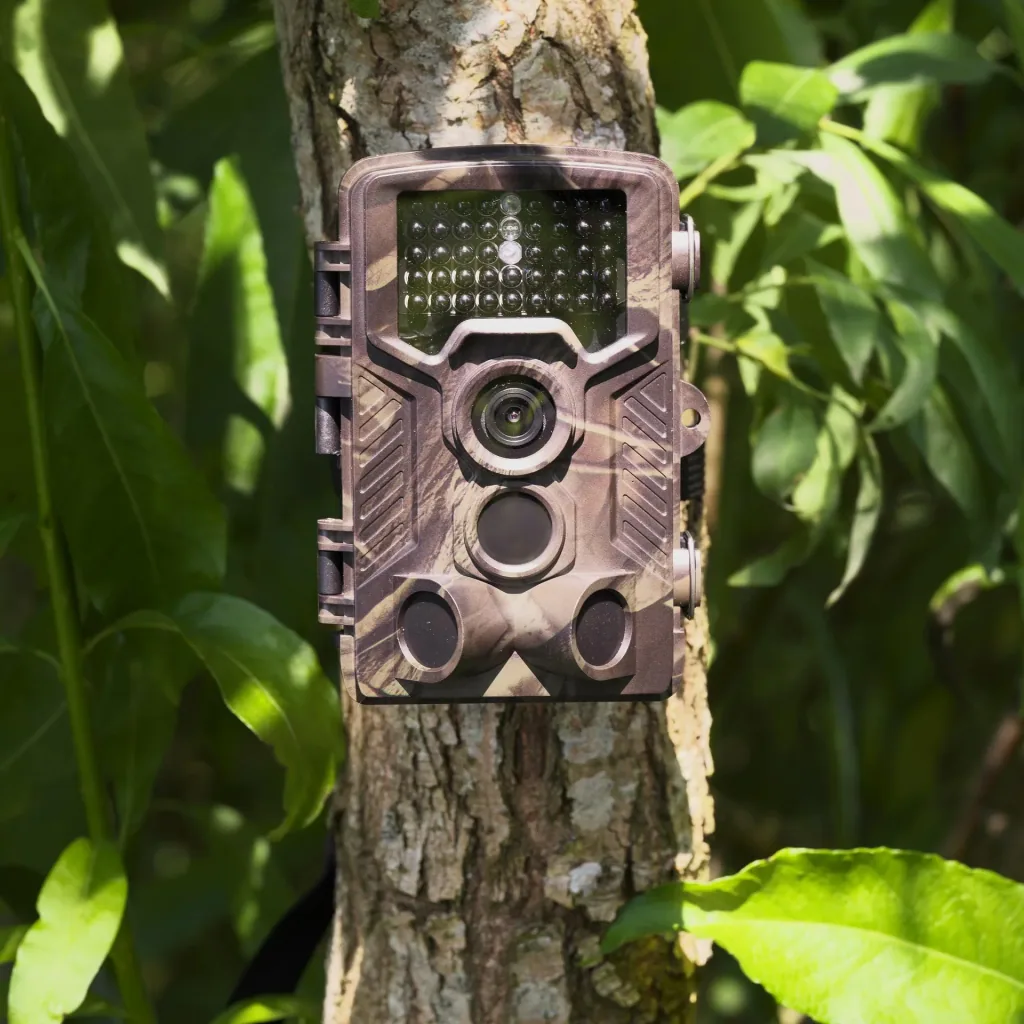 Wildlife and surveillance camera with 8 MP, 2" color display and integrated GSM module