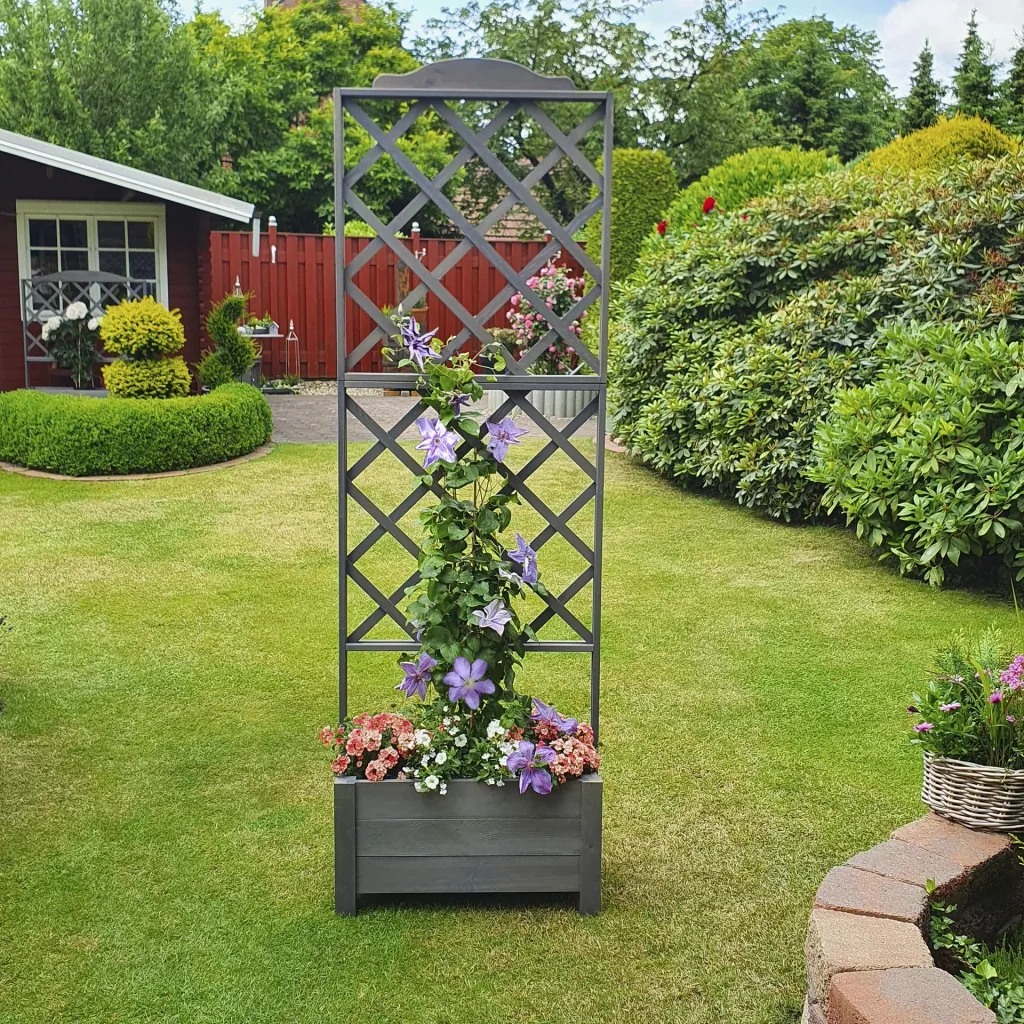Shelves Botanica 69 x 210 cm, Grau