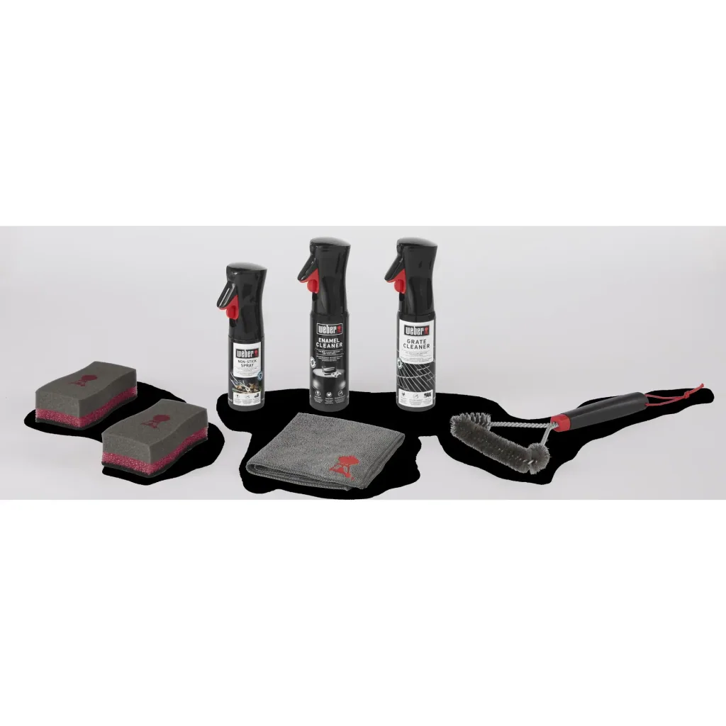 Cleaning kit for charcoal grills