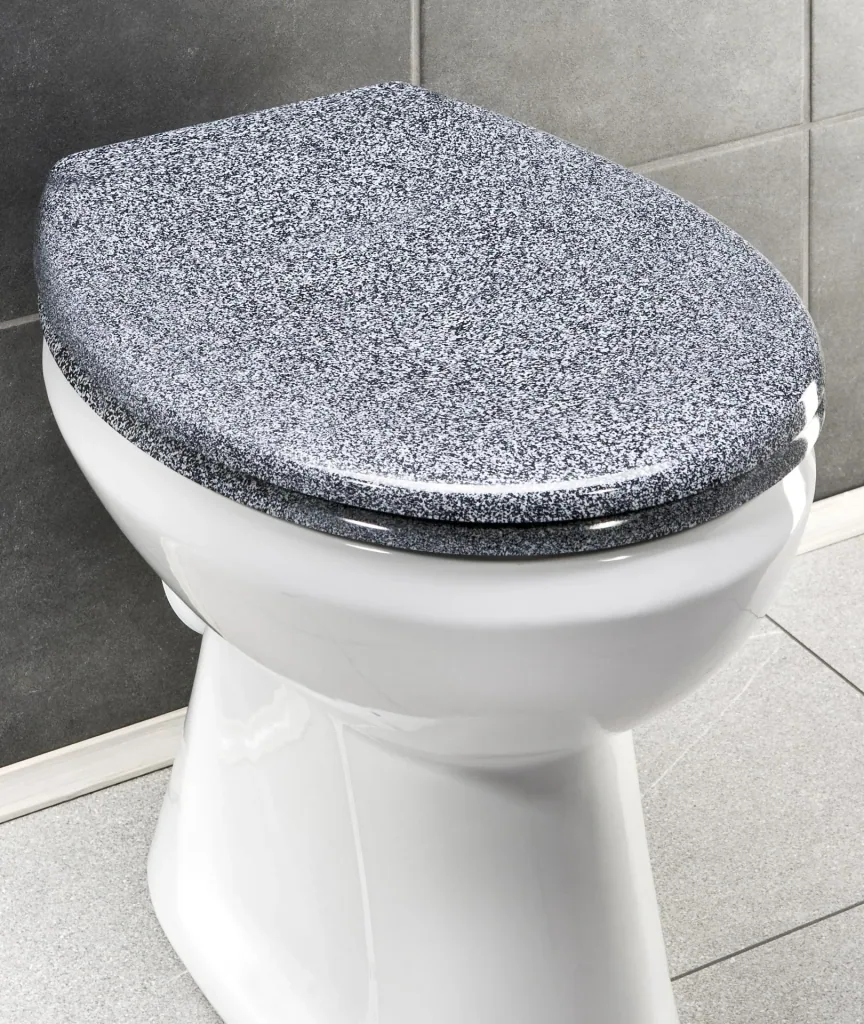 Toilet seat OTTANA granite-colored