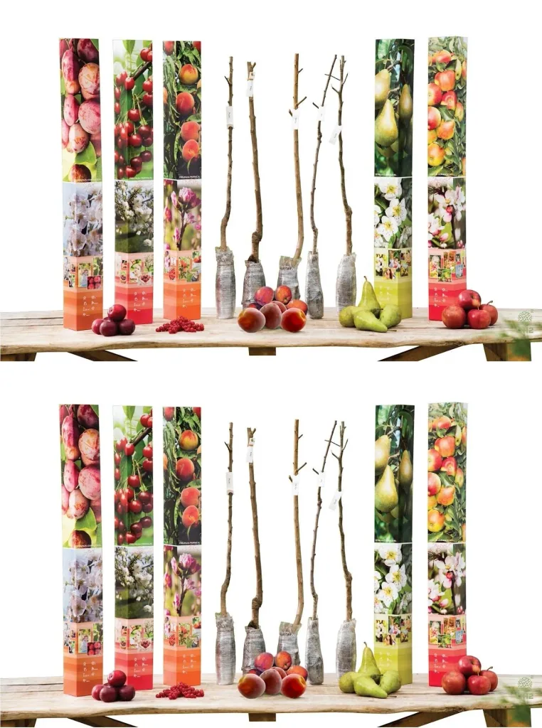 Flower-up set with 10 fruit trees 90 - 100 cm