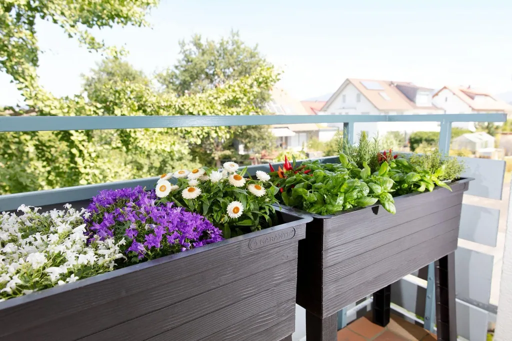 Balcony raised bed Urban Set including cultivation hood