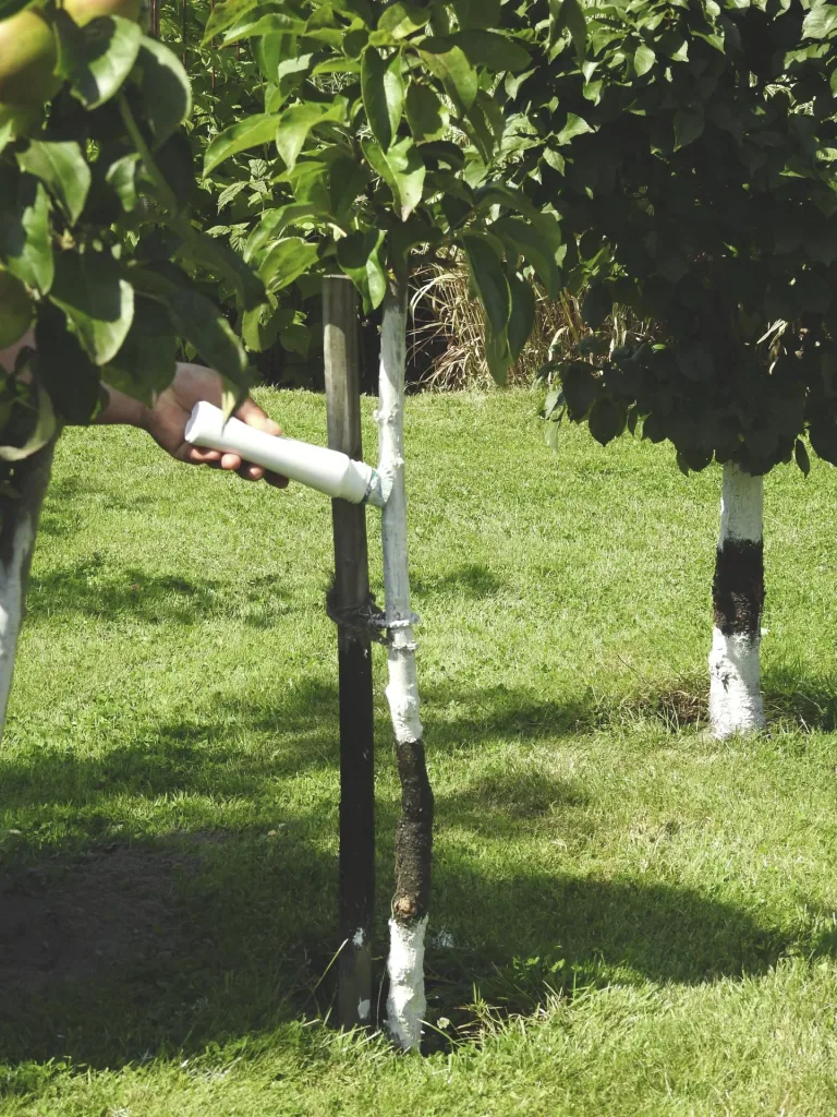 Tree-Whiteler