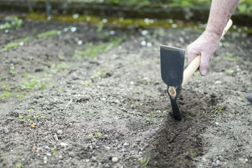 Raised bed small hook "65209"