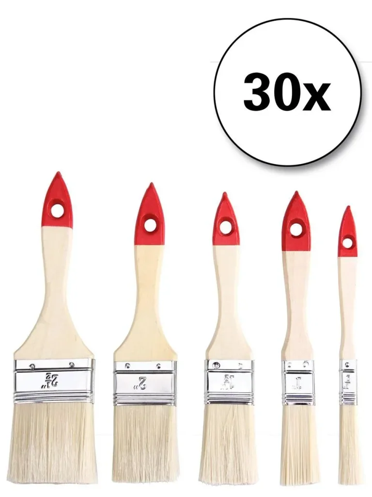 30-piece brush set - 5 different brushes