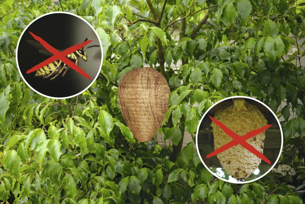 Wespennest Premium 2er Set