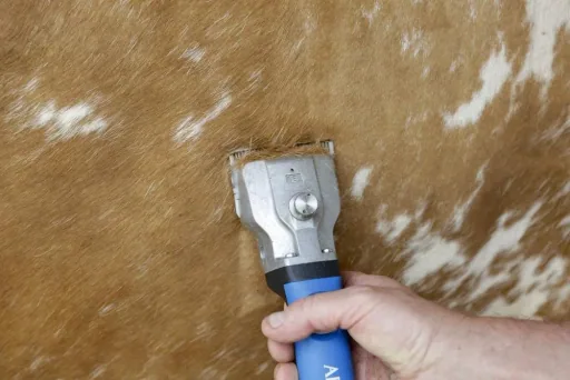 Bonum cordless shearing machine for cattle and horses, including 2 batteries