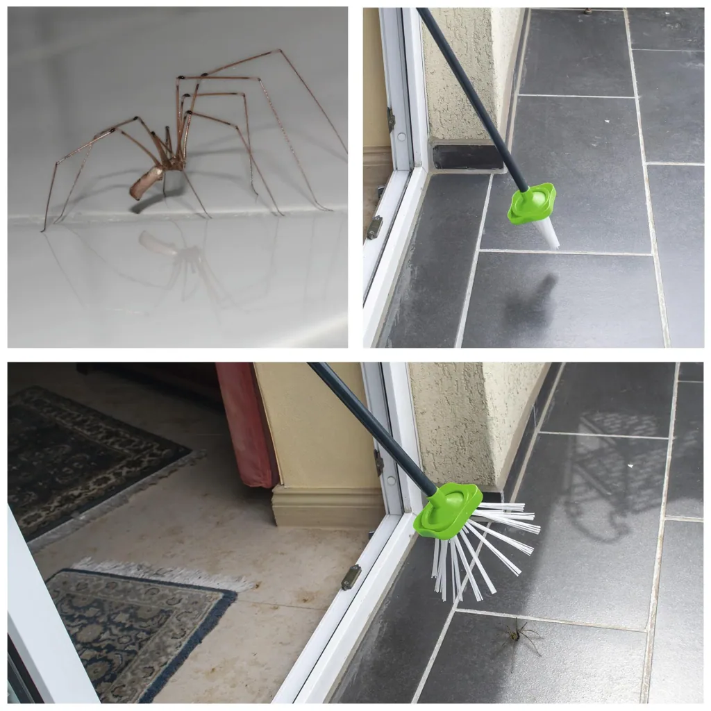 Spider Catcher