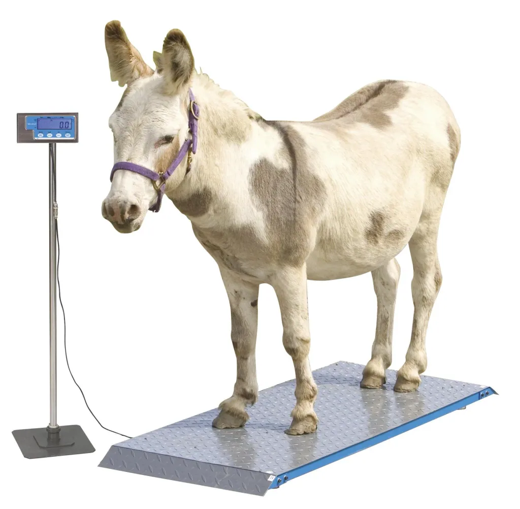 Animal scale PS1000 up to 500kg