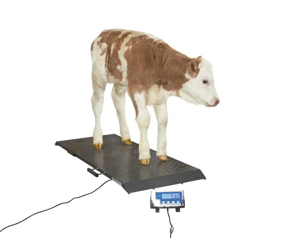 Animal scale PS1000 up to 500kg