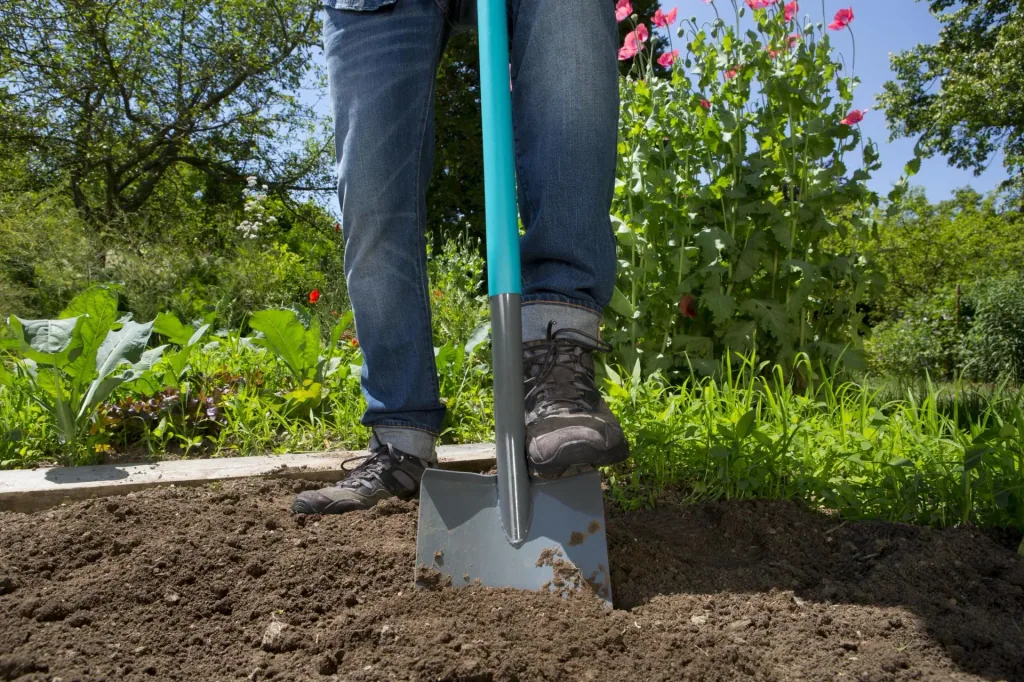 ClassicLine Spade