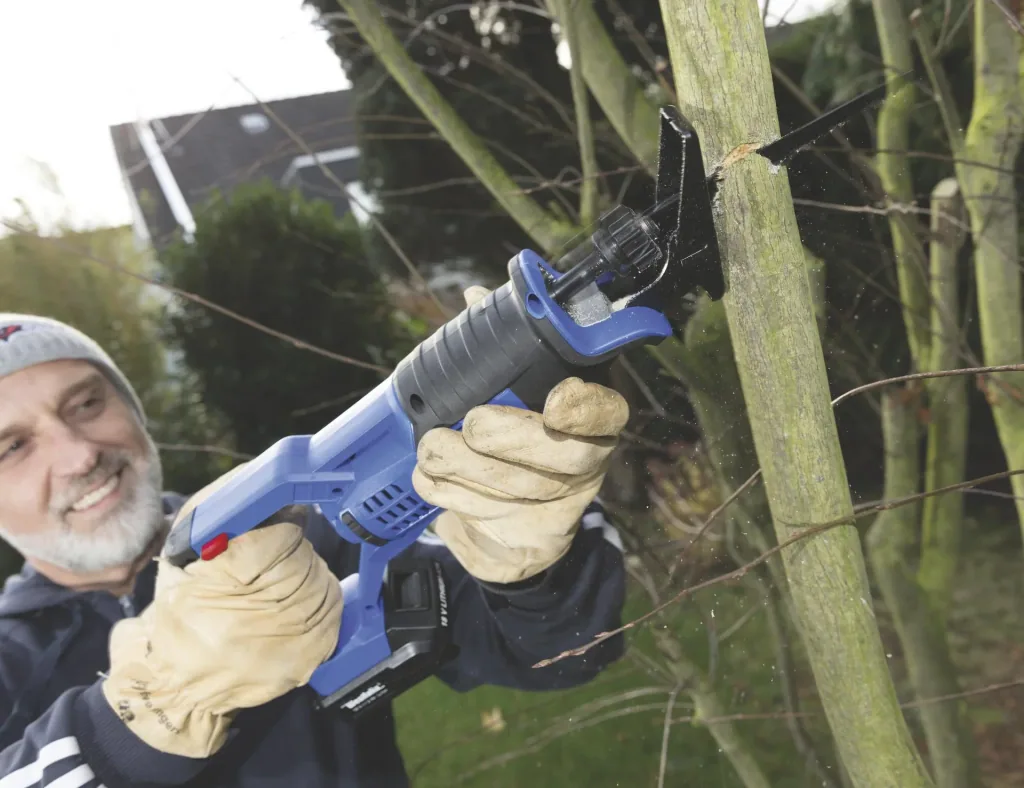 Reciprocating saw ASSG18 18 V Li-Ion including 2.0 Ah battery and charger