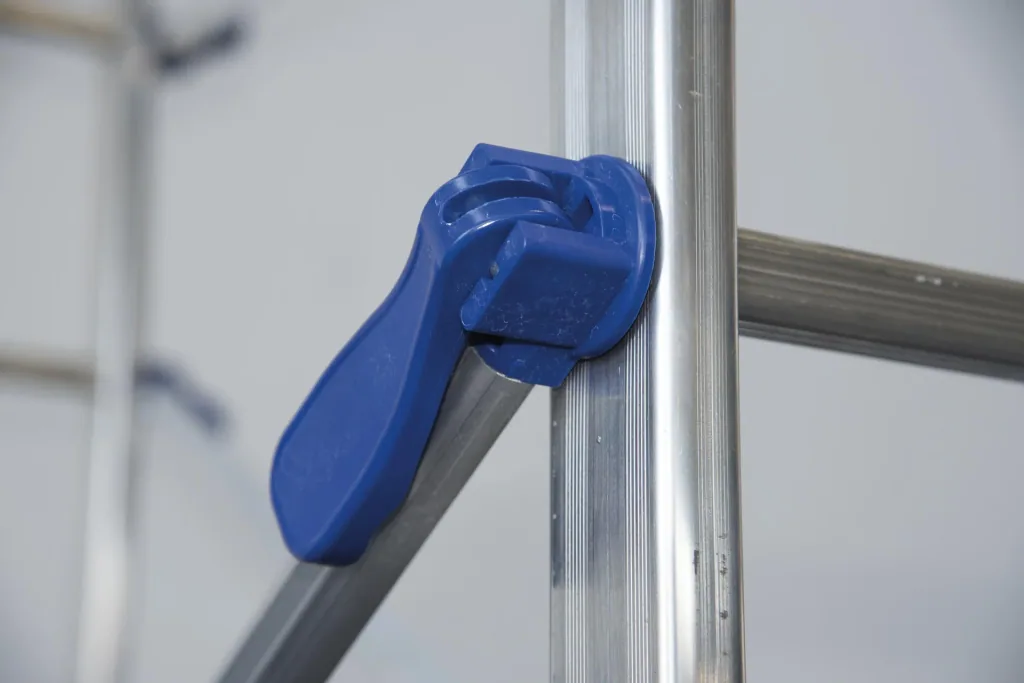 P6 small scaffold