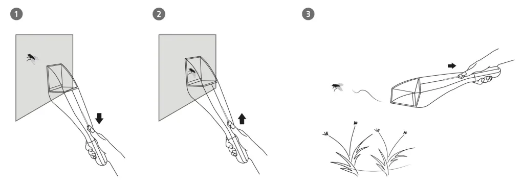 Insect live catcher with magnifying glass