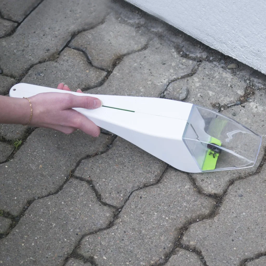 Insect live catcher with magnifying glass