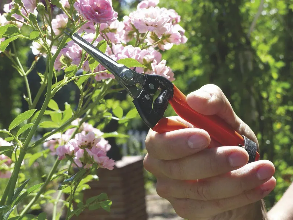 "Miracle Scissors" - the all-purpose slicer for home & garden