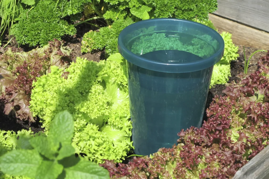 Irrigation system - Hydro Cup in set of 4
