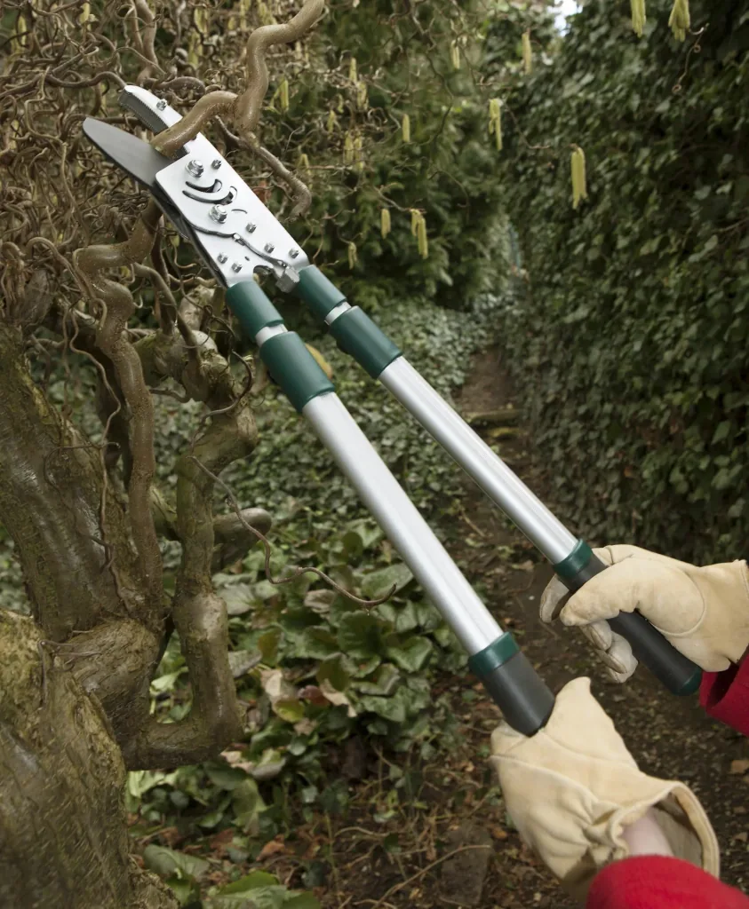 Anvil twig shears with telescopic handle, 50 mm cutting thickness