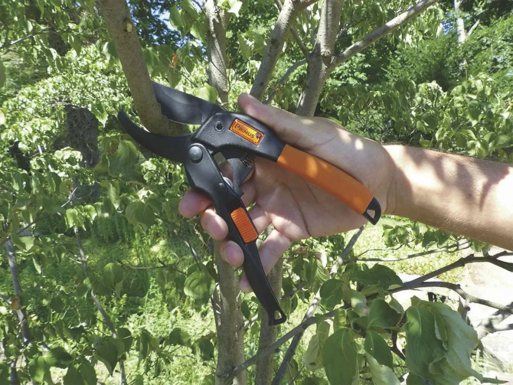 Power sliding scissors "Primus" with roller transmission