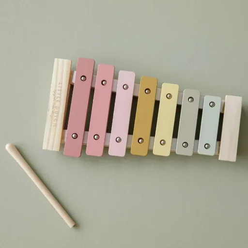 Little dutch children xylophone pink