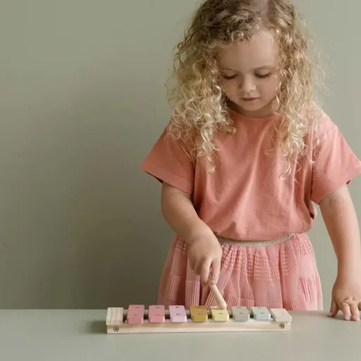 Little dutch children xylophone pink