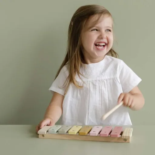 Little dutch children xylophone pink