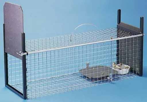 Wire box cat trap developed and recommended by animal rights activists