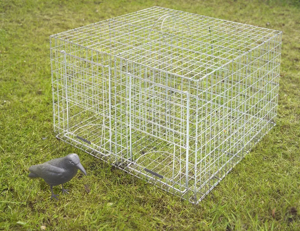 Magpie and crow trap, 60 x 60 x 45 cm