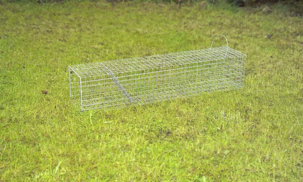 Young fox tube trap, 20 x 20 x 100 cm