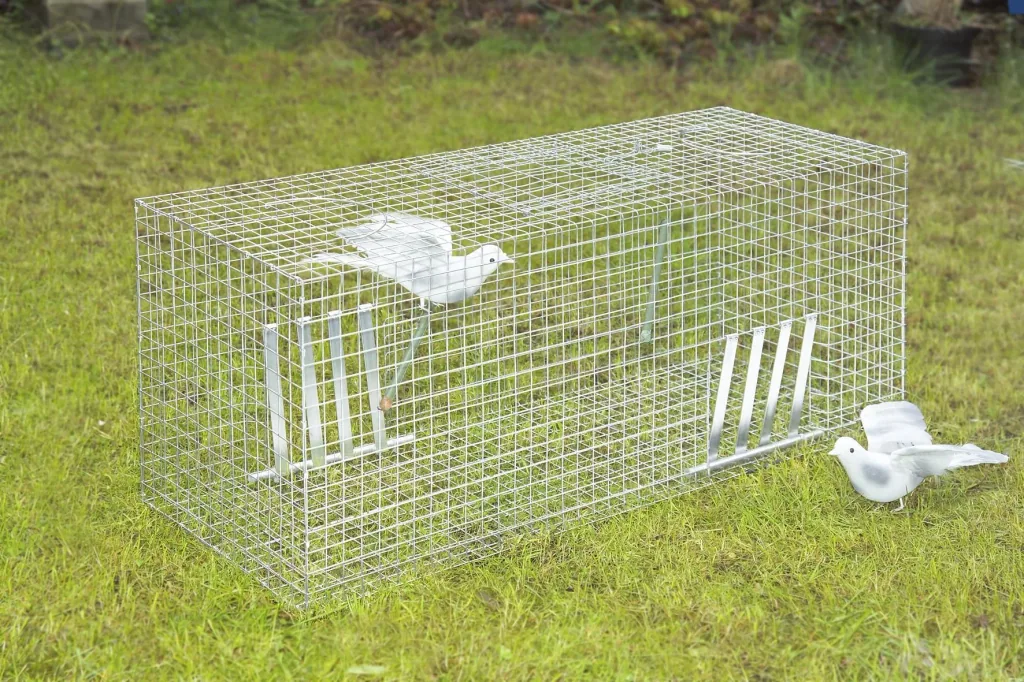 Pigeon trap, 102 x 42 x 36 cm