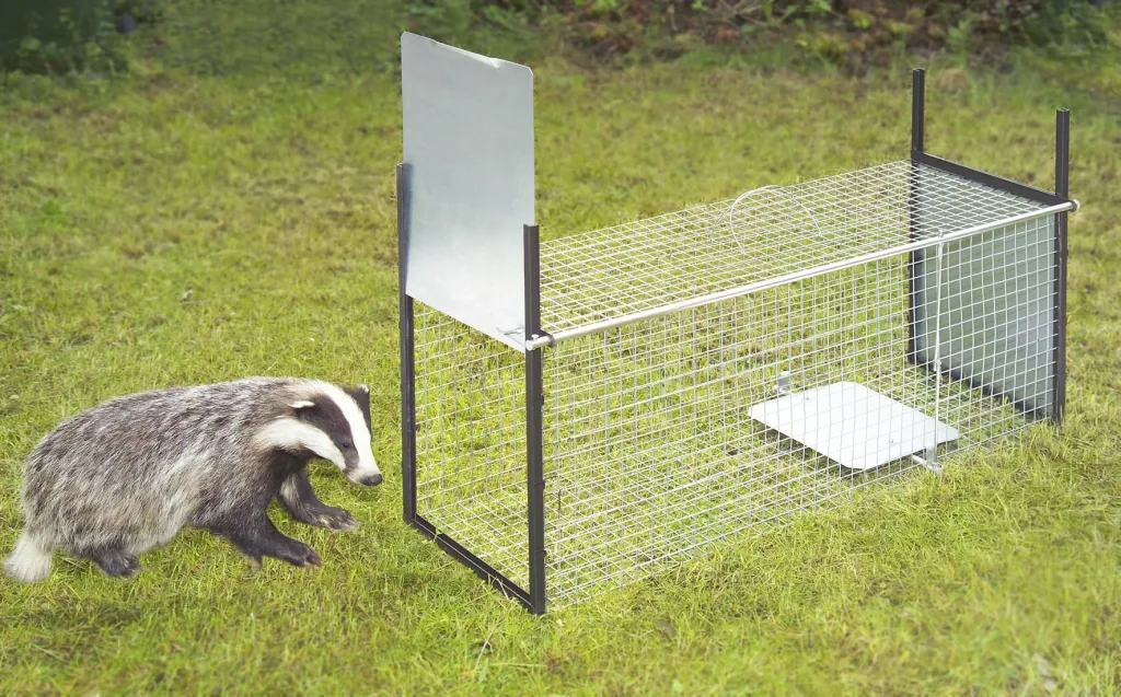Raccoon trap, 40 x 33 x 105 cm