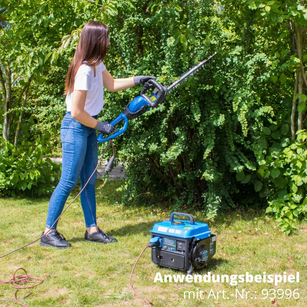 2-stroke 230 V generator