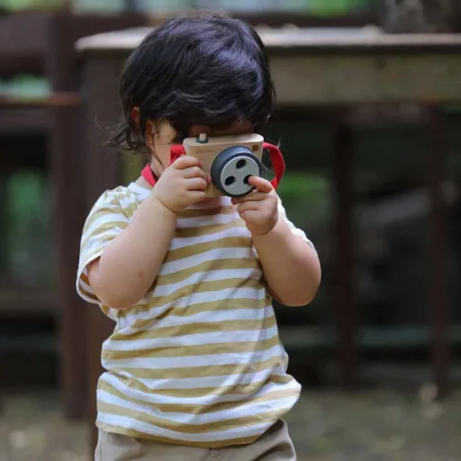 Plan Toys Toys Camera Colorful Wood