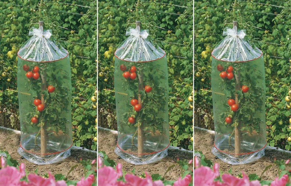 Tomato protective covers (set of 3)