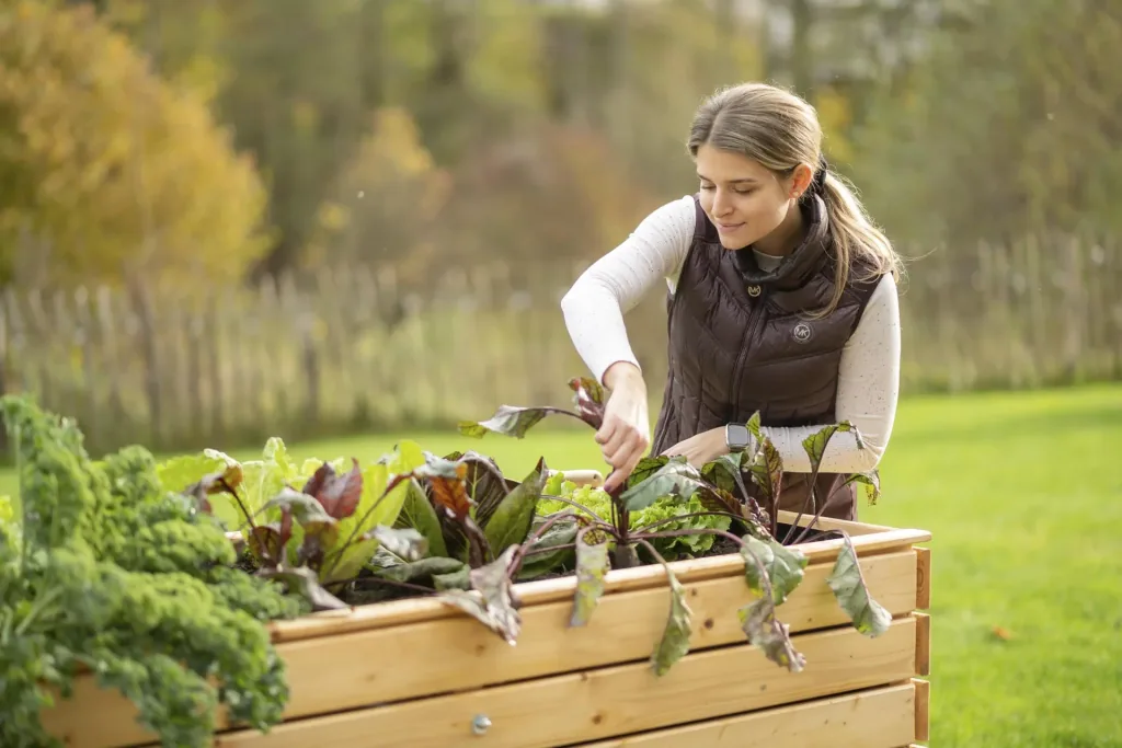 Raised Bed Asket XL, 160×70×90 cm, Natural – Spruce Wood, Back-Friendly