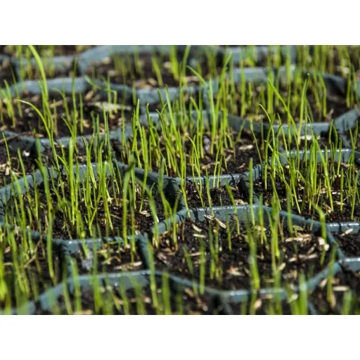 Grass Pavers, Grass Grid, Green, RKP1, approx. 49.2x49.2x3.9cm, 0.9kg, Lawn Grid