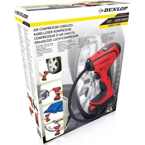Battery air compressor 12V 230V 8 Bar rod