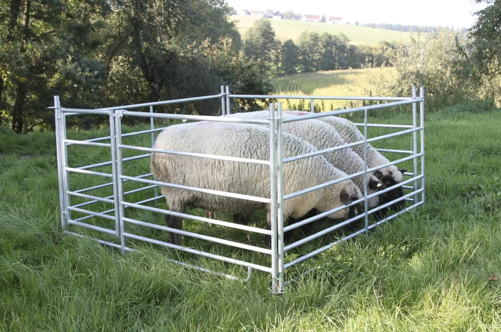 Sheep panel 2.75 meters with practical plug-in system