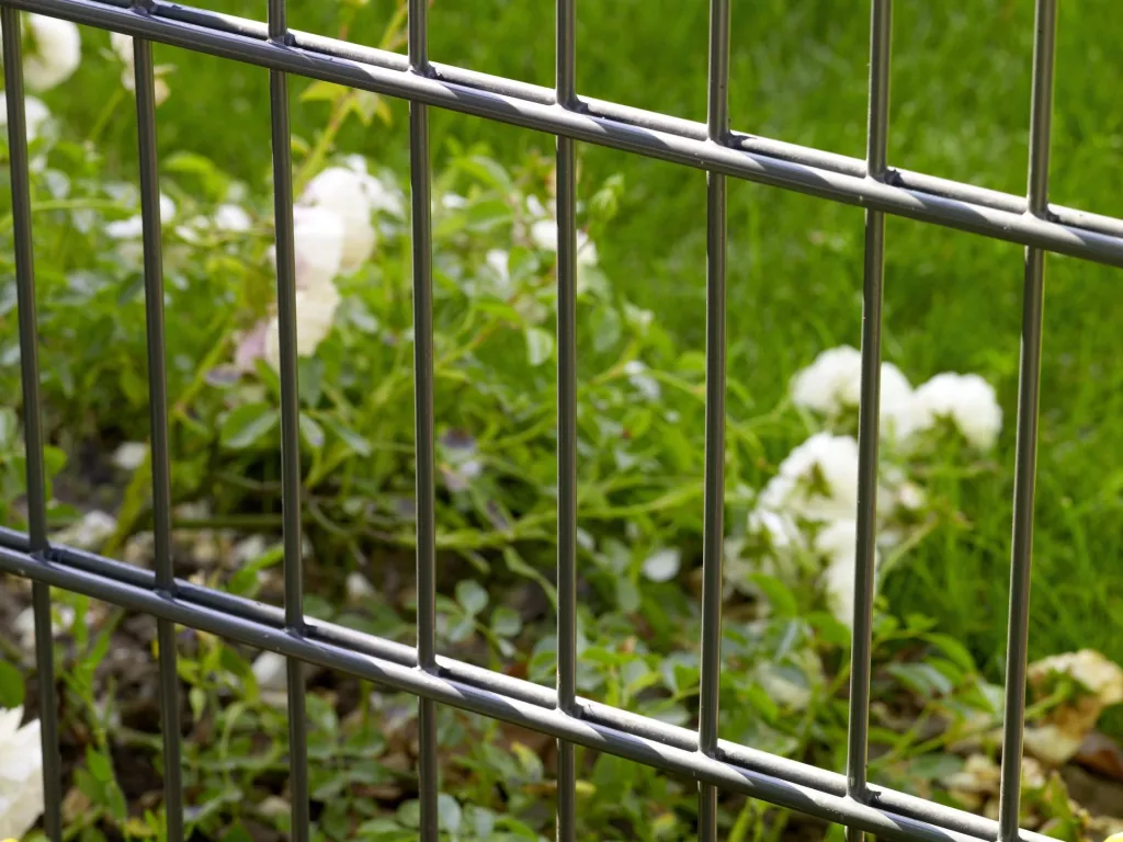 Double-rod fence panel set, anthracite, 10 pieces, each 123 cm x 200 cm